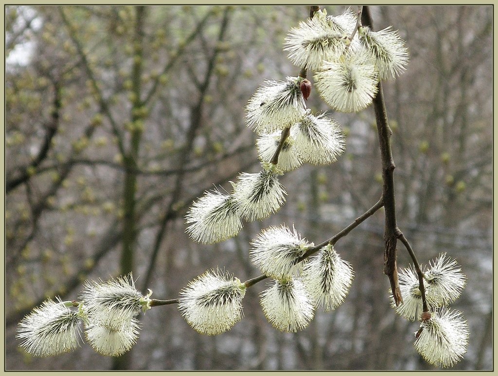 Картинки апрель месяц