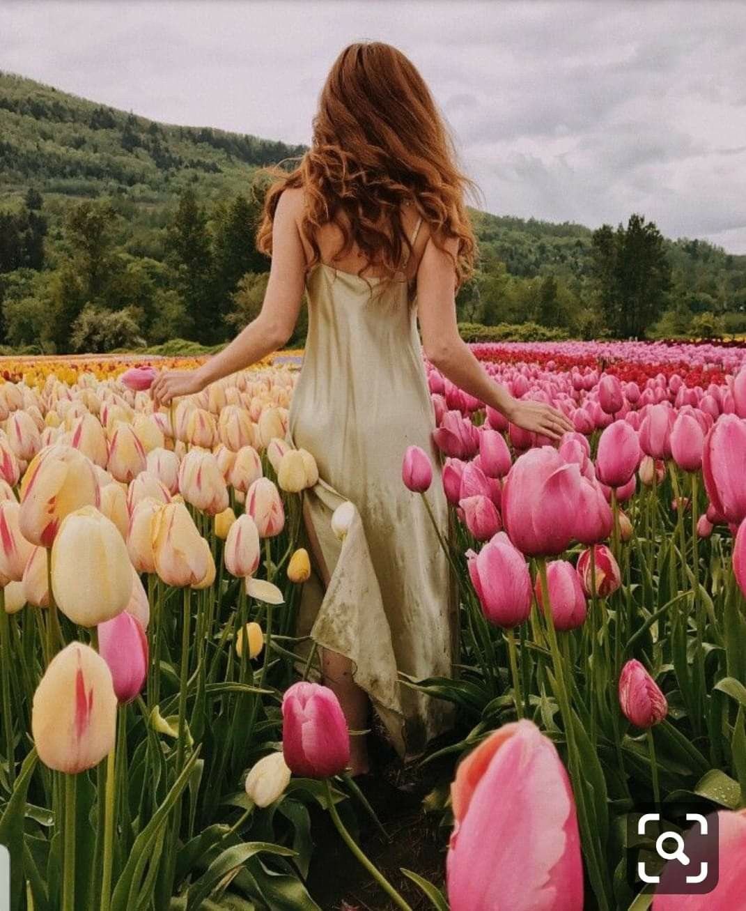 Летняя фотопрогулка в городе