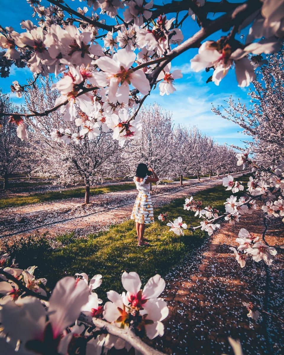 Девушка с ландышами