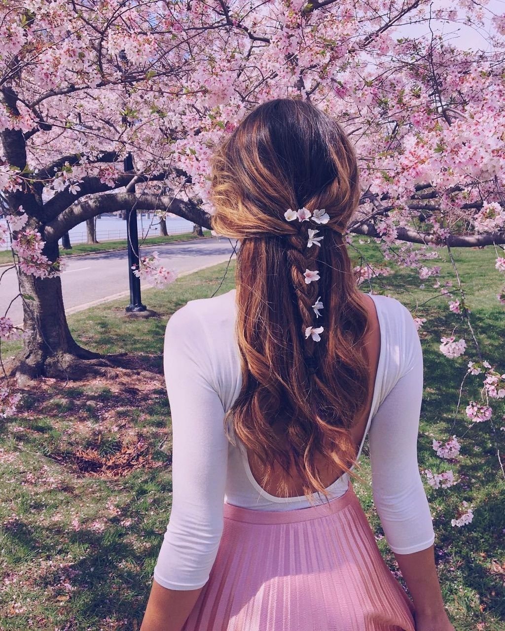 Девушка в люпинах со спины