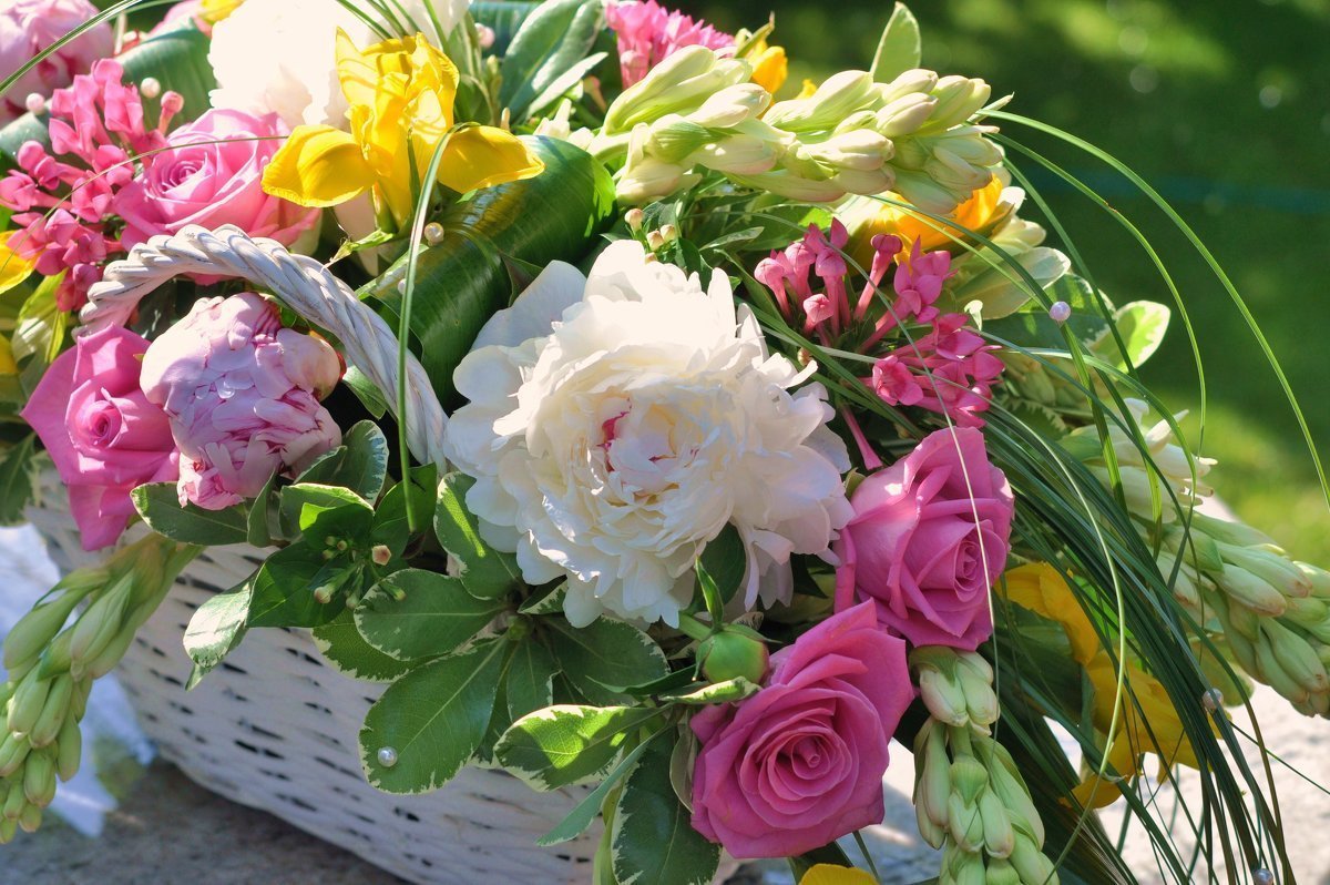 Цветы учителю на прозрачном фоне