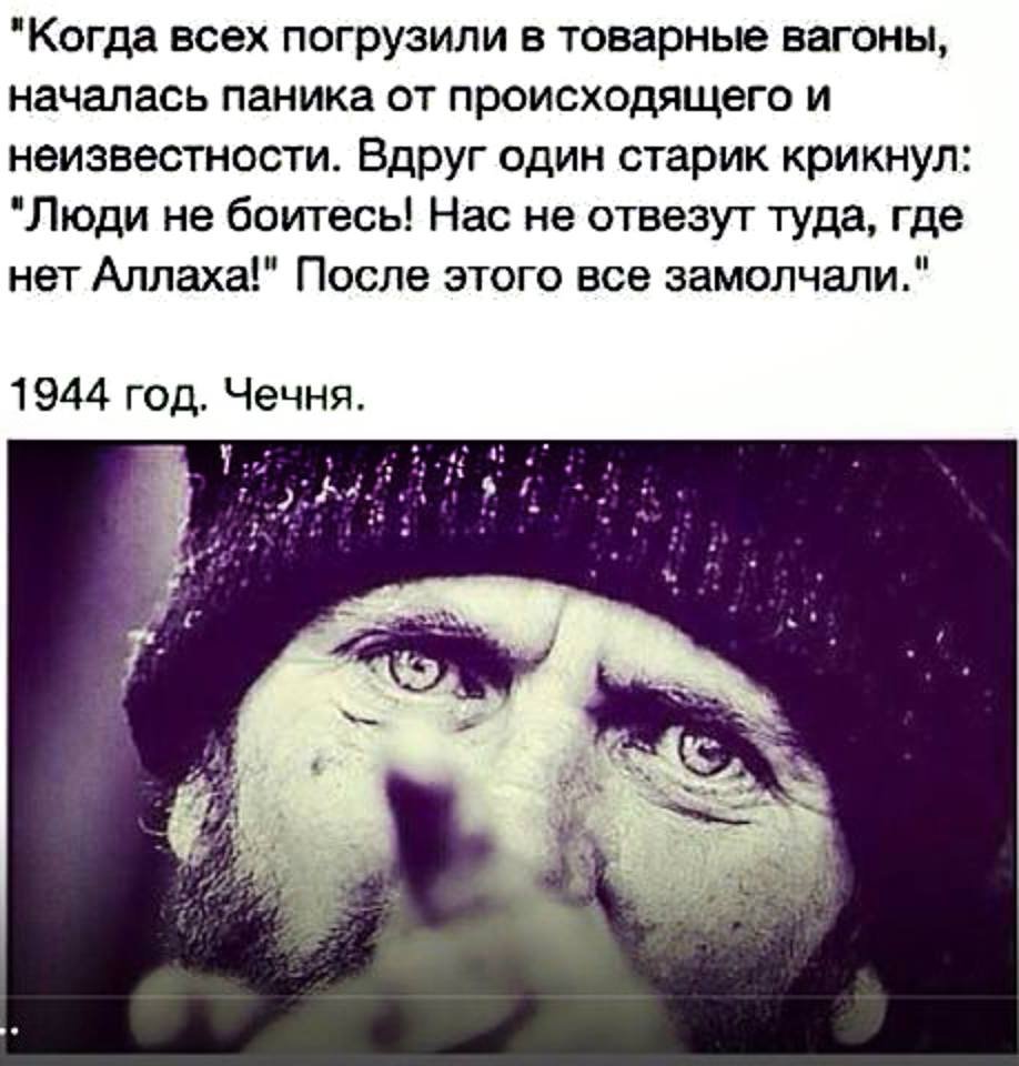 Цитаты мусульманки