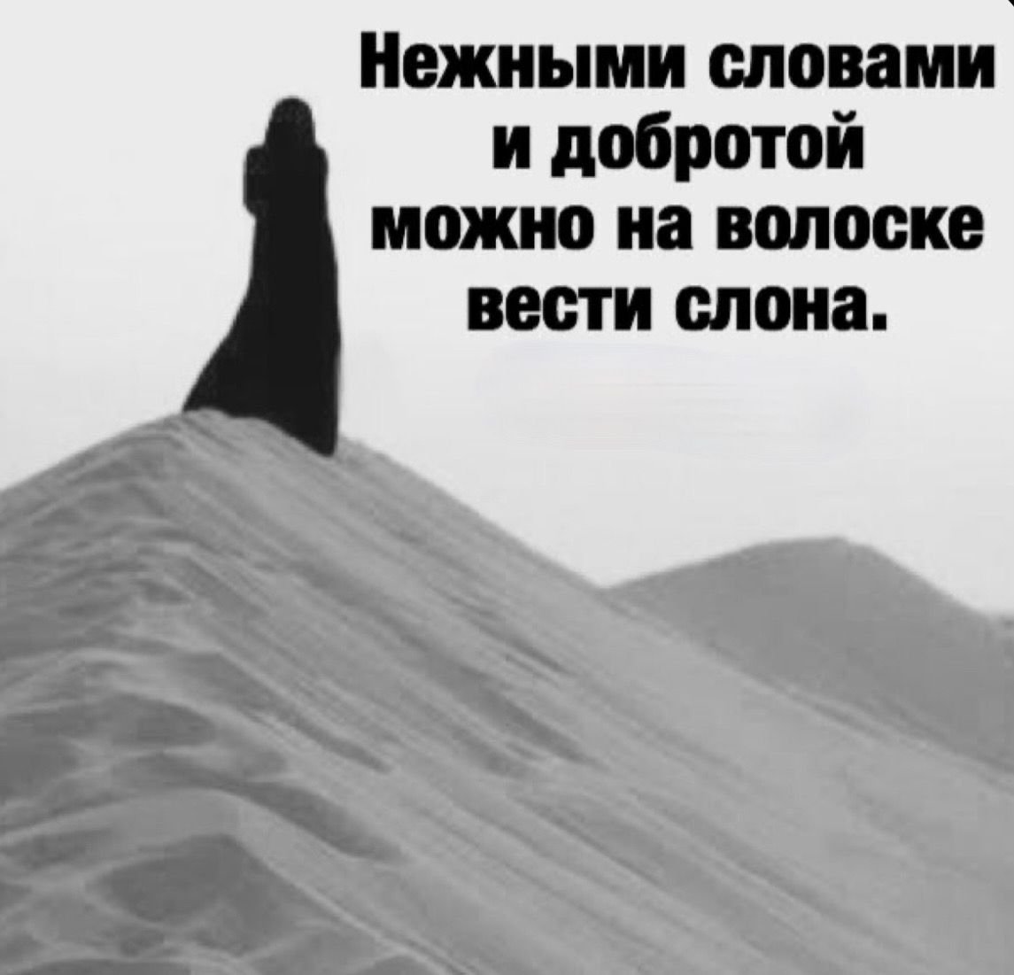 Исламские цитаты со смыслом