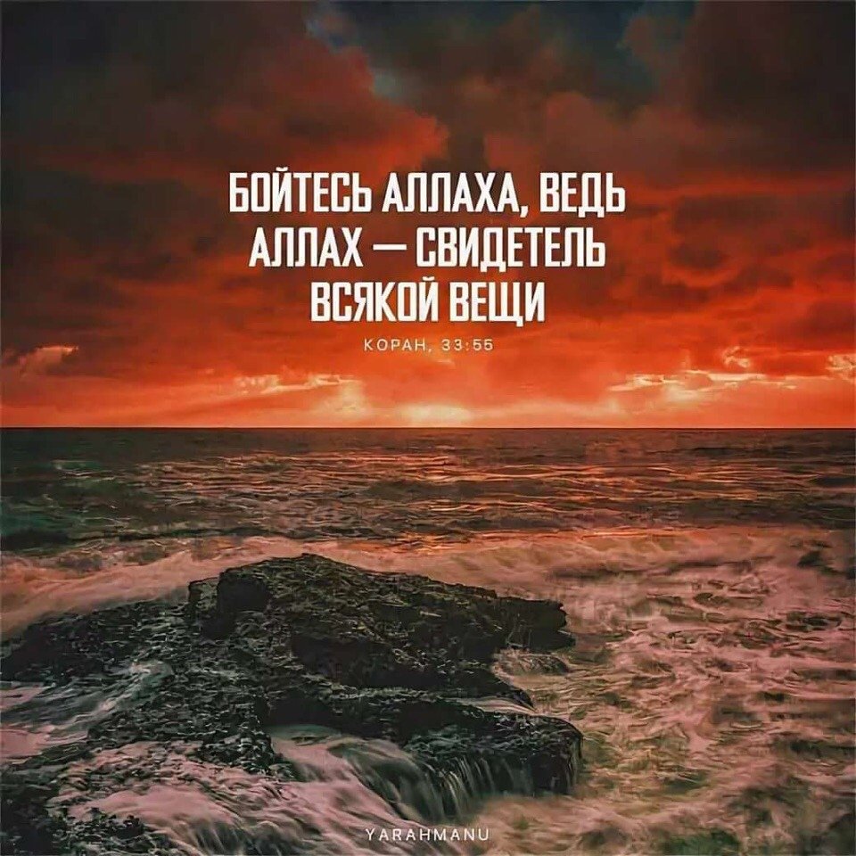 Фразы со смыслом