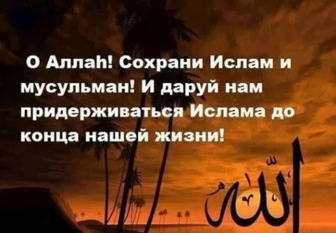 Картинки со смыслом о жизни мудрые мусульманские
