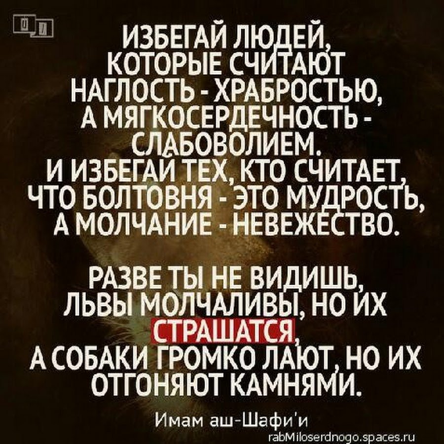 Цитаты со смыслом