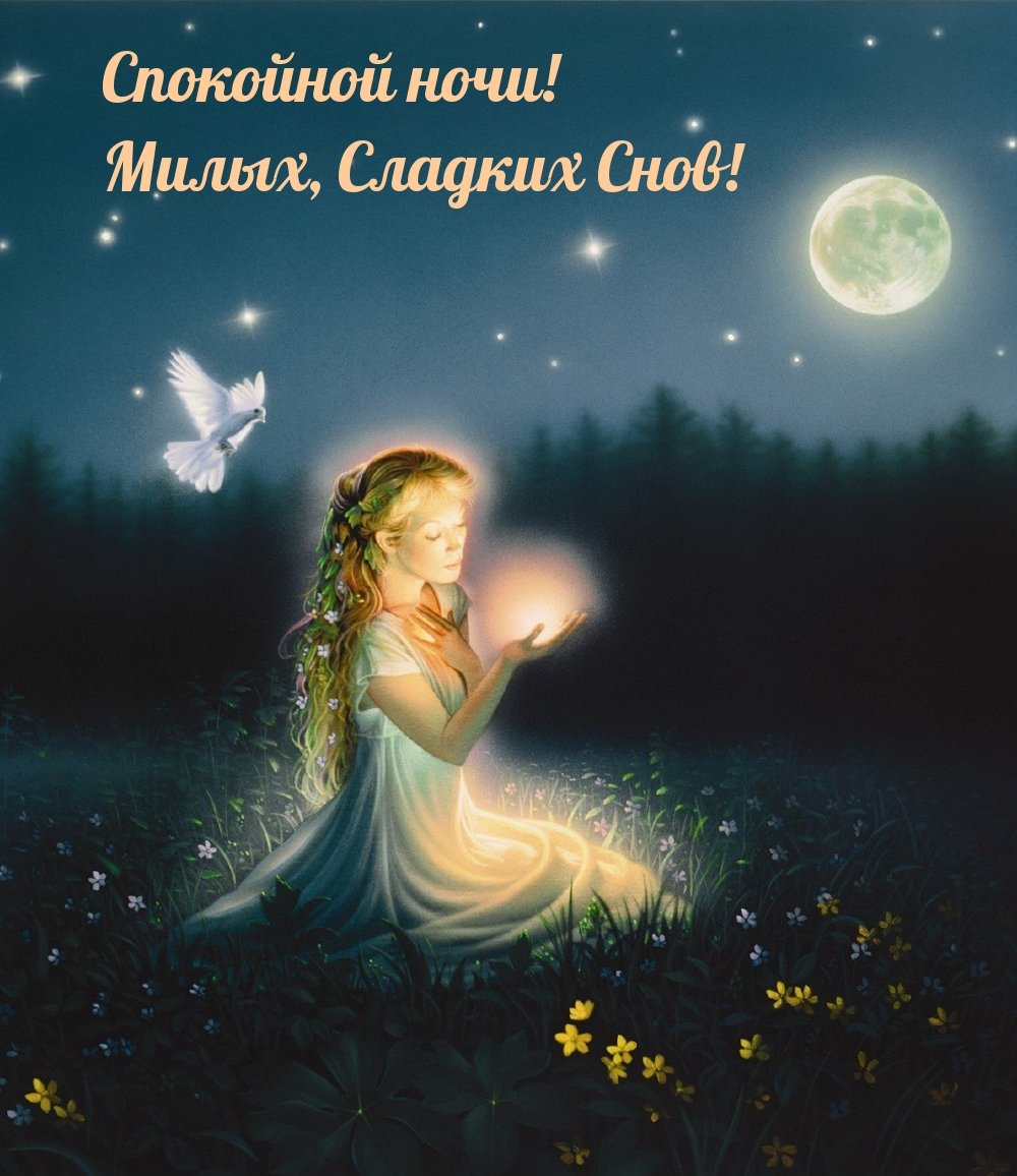Спокойной ночи Фея