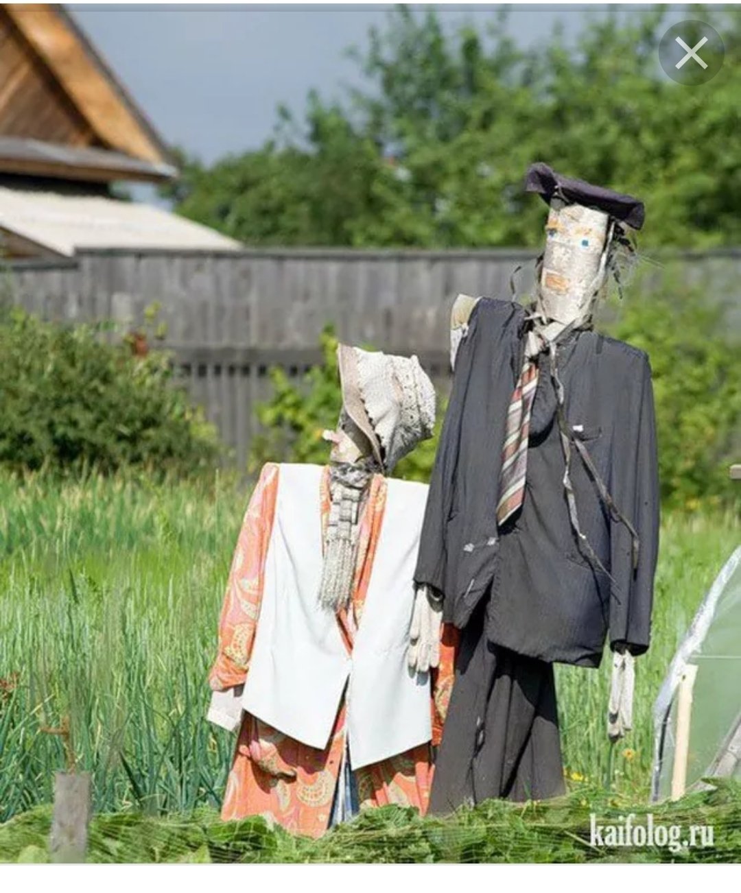 Открытки про дачу