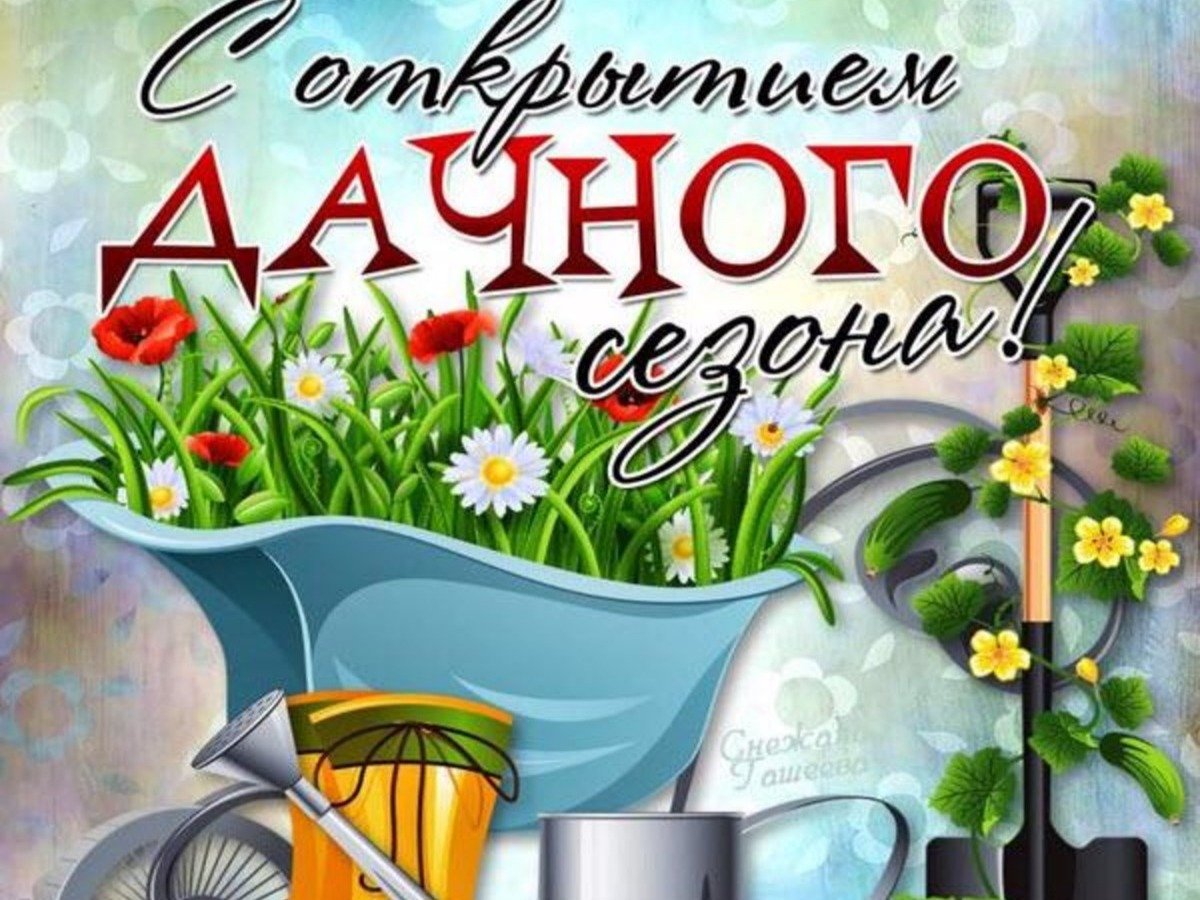 Отпуск на даче