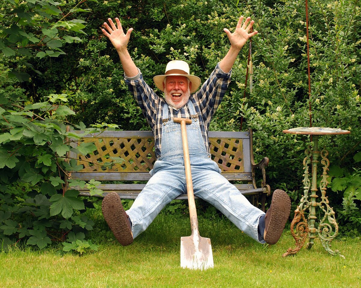 Здесь мы посадим меня а здесь печень