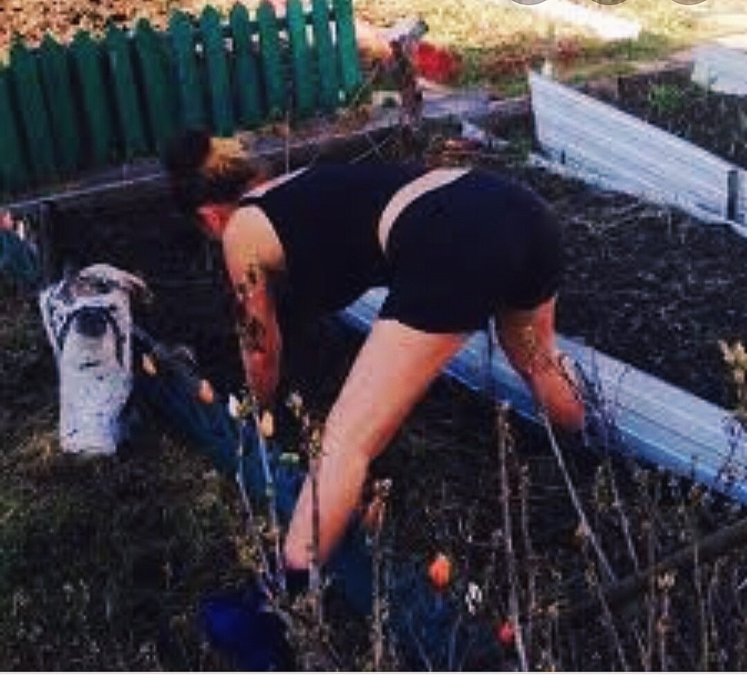 Смешное про огород