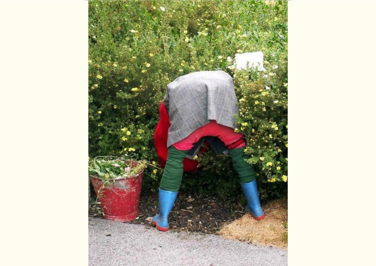 Приколы про дачу