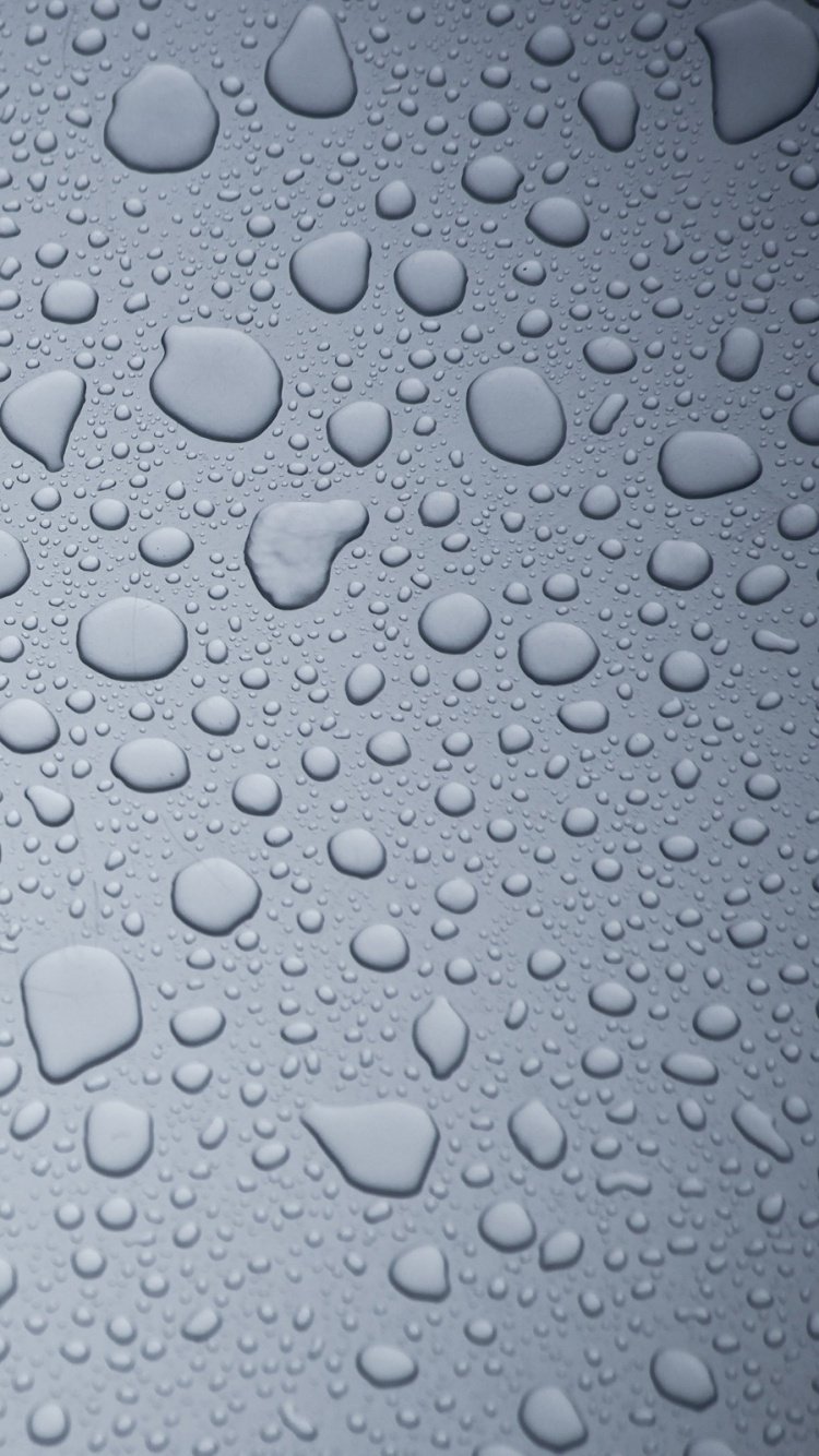 Бирюзовые цветы