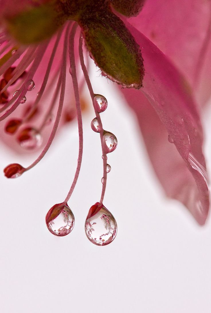 Фон на телефон красивые