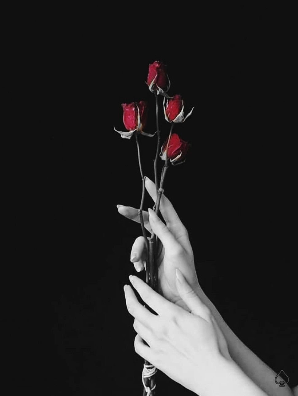 Цветы и руки Эстетика