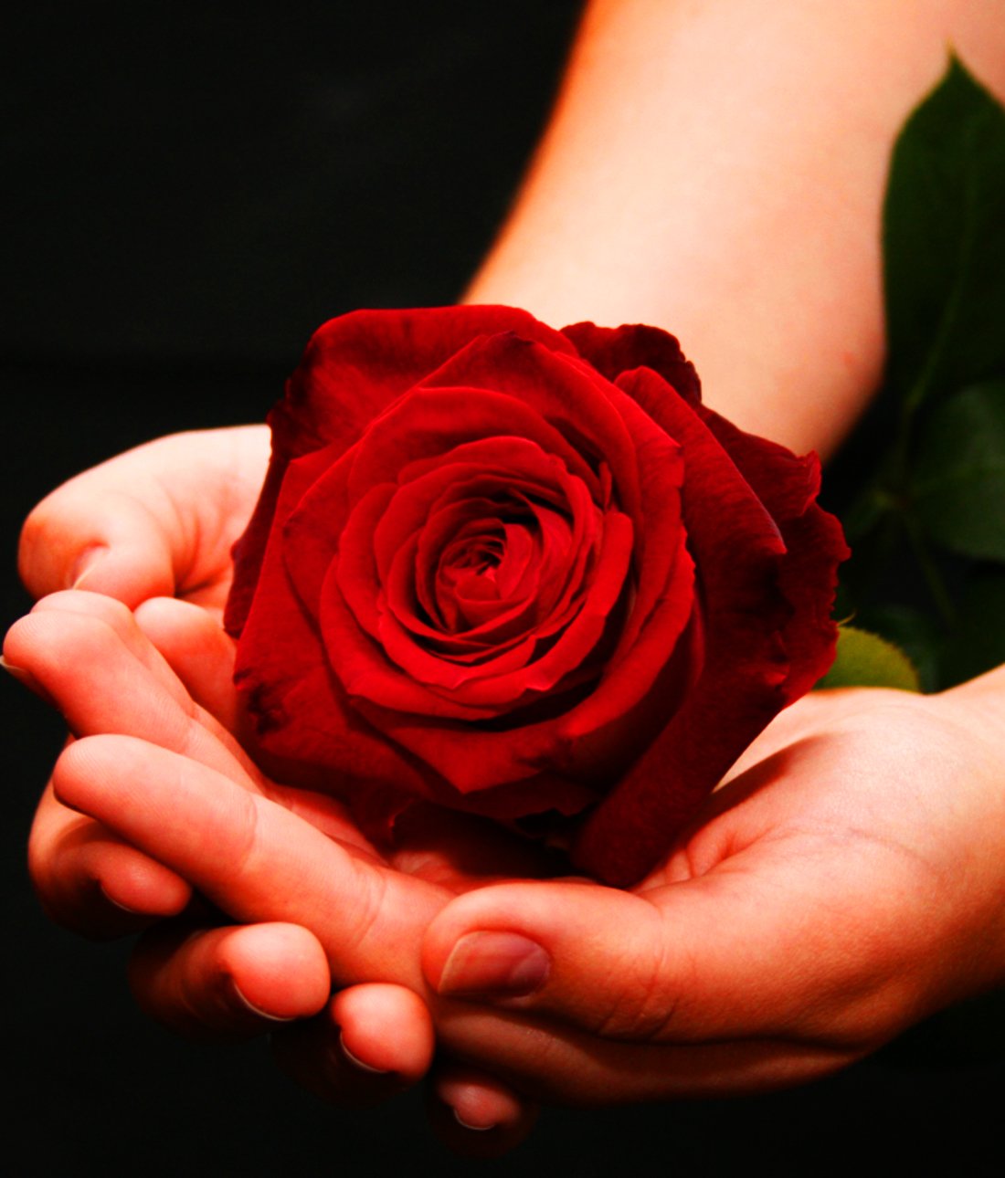 Красивый цветок на ладони