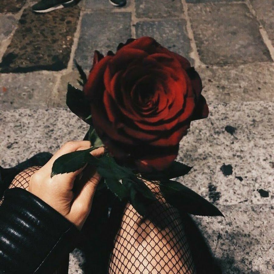 Черная роза в руке