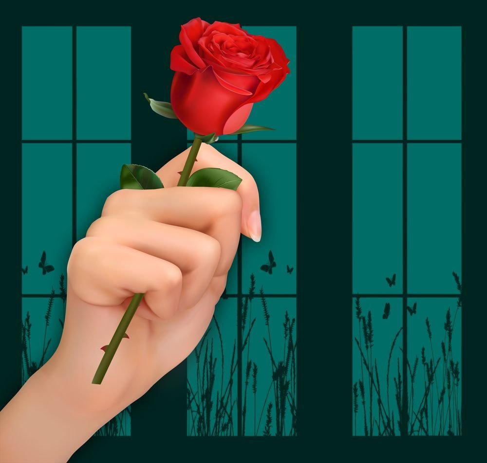 Роза в руке