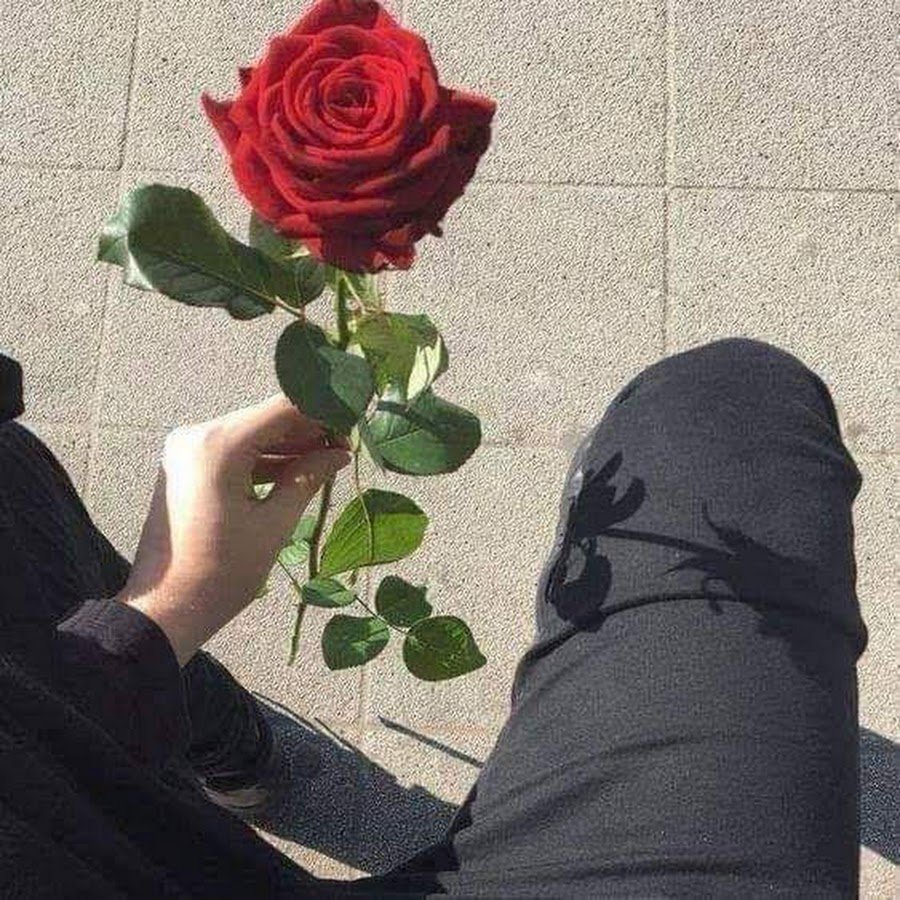 Роза в руке