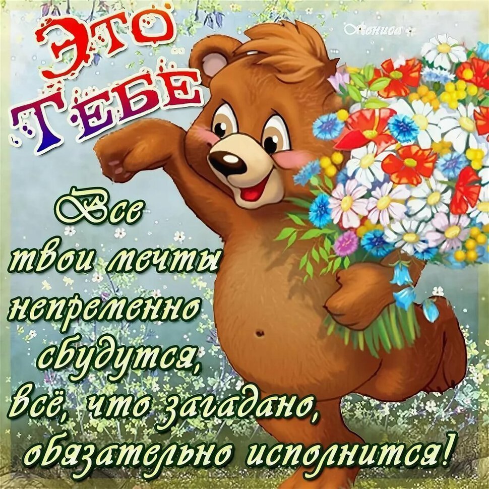 Смешные статусы в картинках с надписями