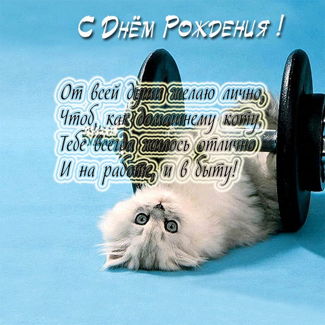 Поздравление с днем рождения с котом
