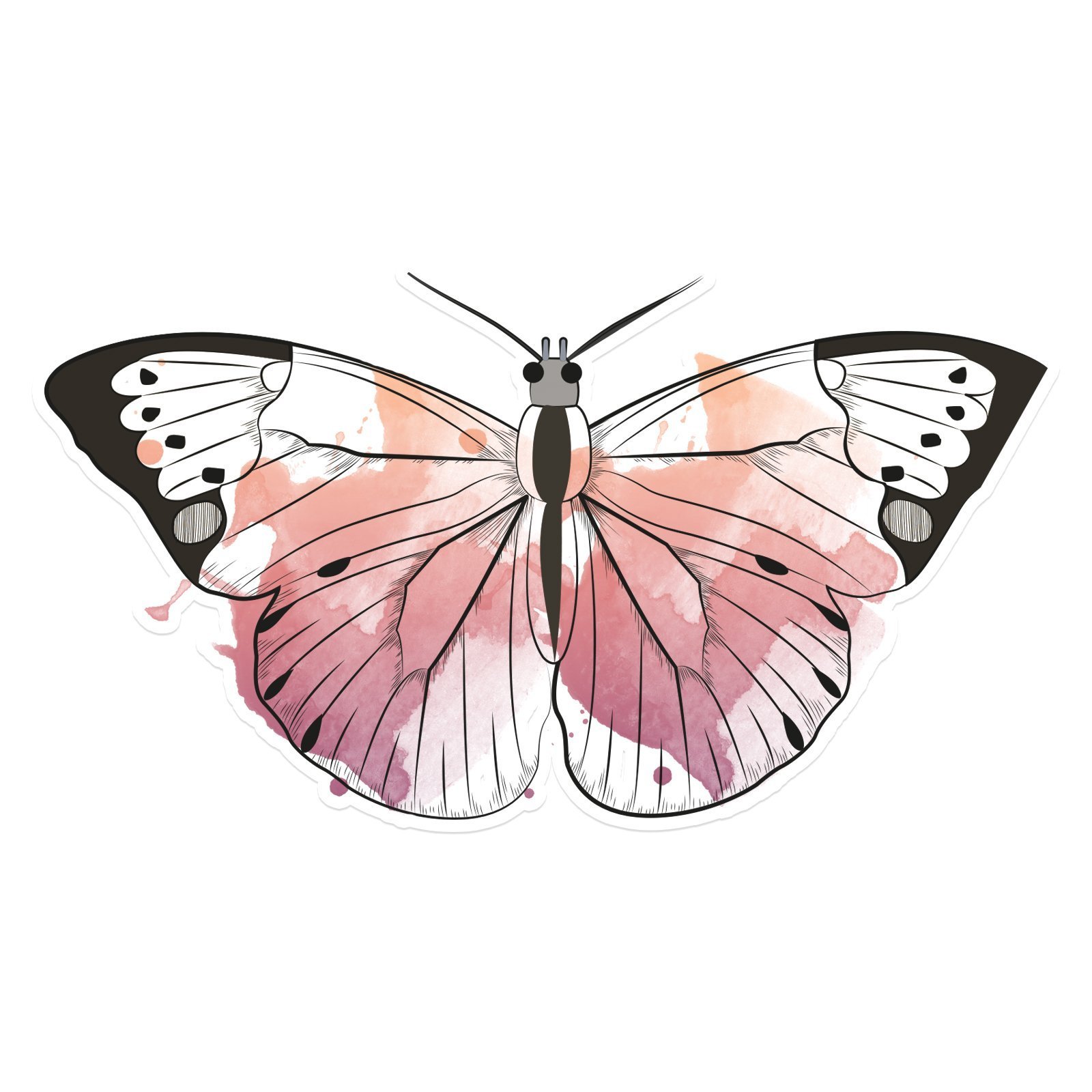 Белая розовая бабочка. Розовые бабочки. Акварельные бабочки. Бабочка розовая акварель. Акварельный фон бабочки.