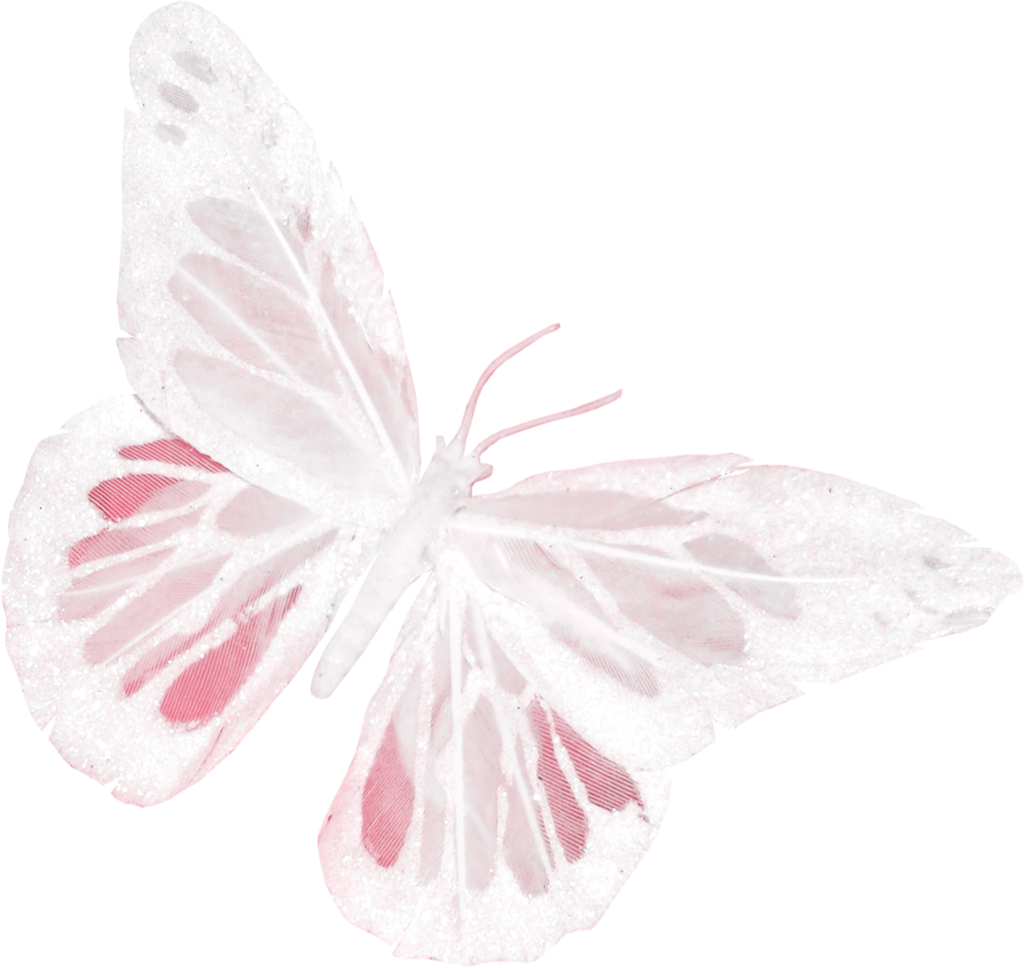 Белая розовая бабочка. Бабочки бело розовые. Розовые бабочки на прозрачном фоне. Бабочки нежно розовые. Бабочки бледно розовые на белом фоне.