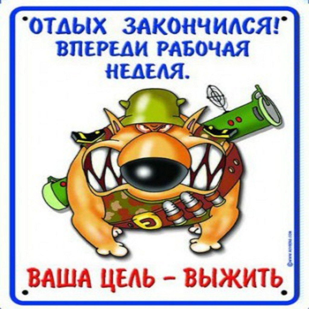 Поздравление с первым рабочим днем