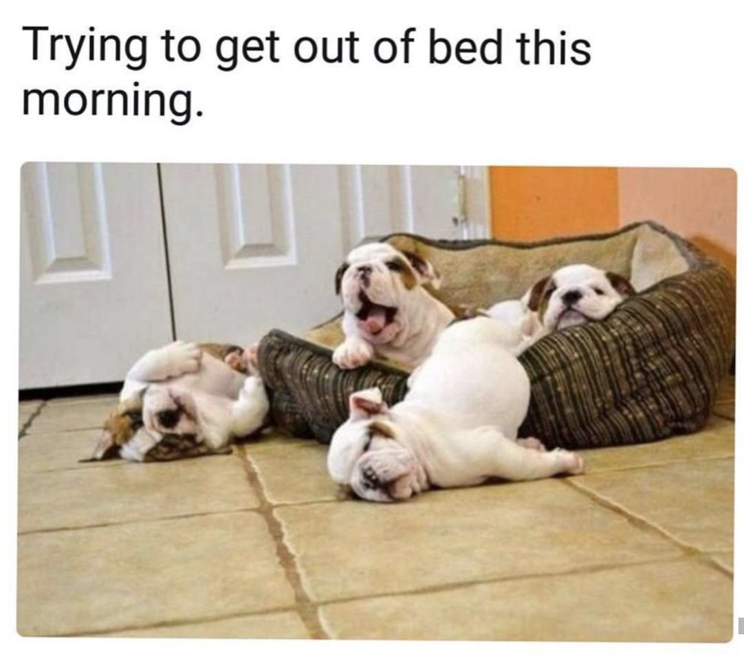 Конец рабочей недели приколы