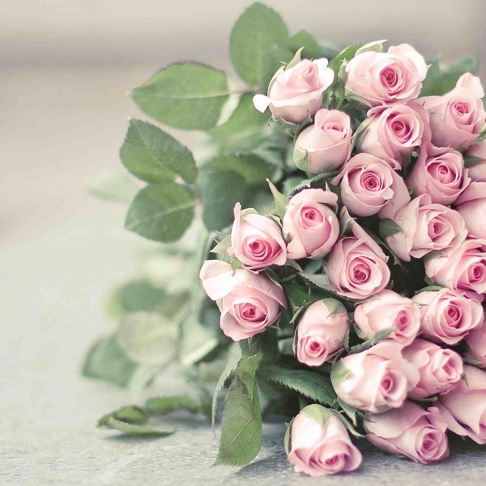 С днем рождения нежные розы