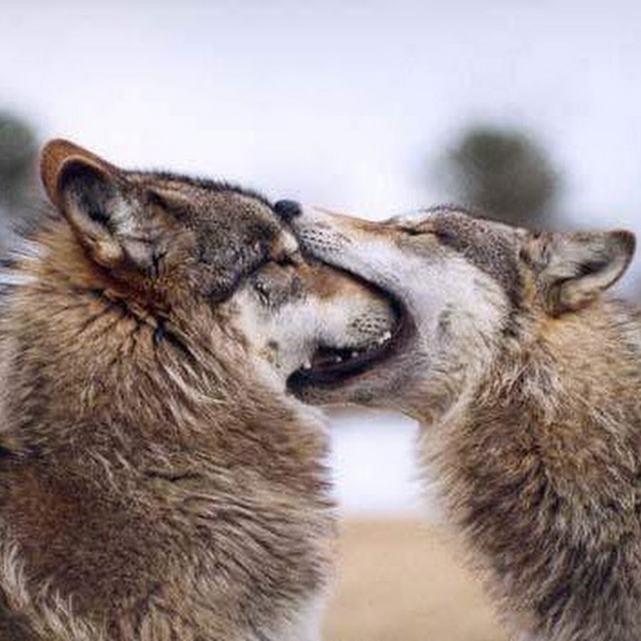 Ничего невозможного когда рядом тот кто верит в тебя