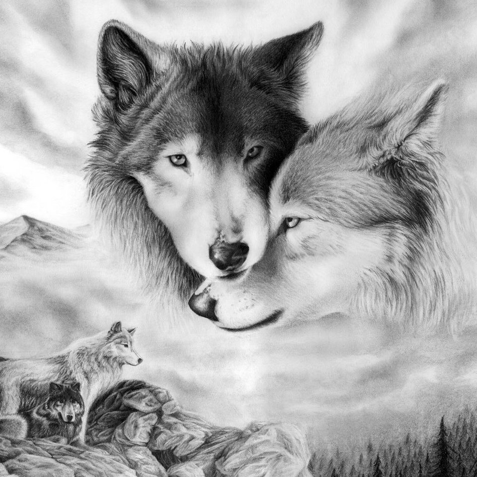 Влюбленный волк уже не