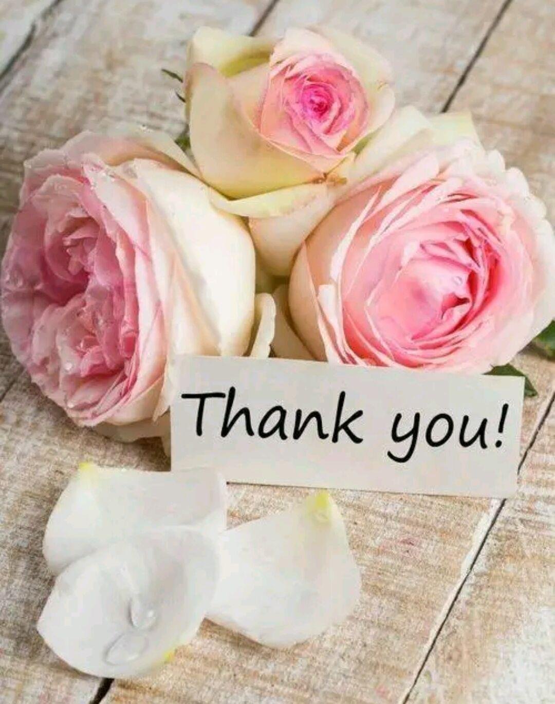 Благодарю Бога