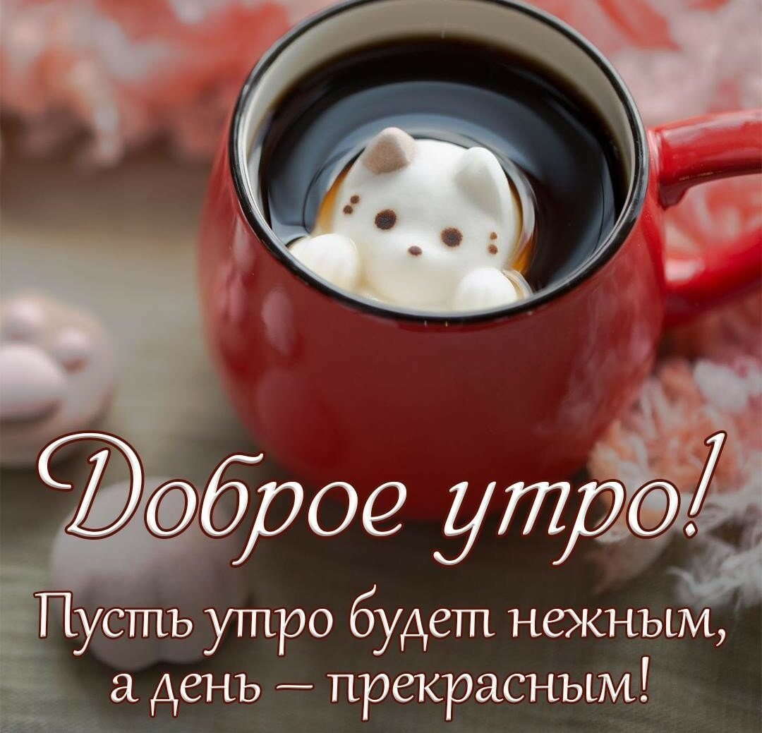 Стильные открытки с добрым утром