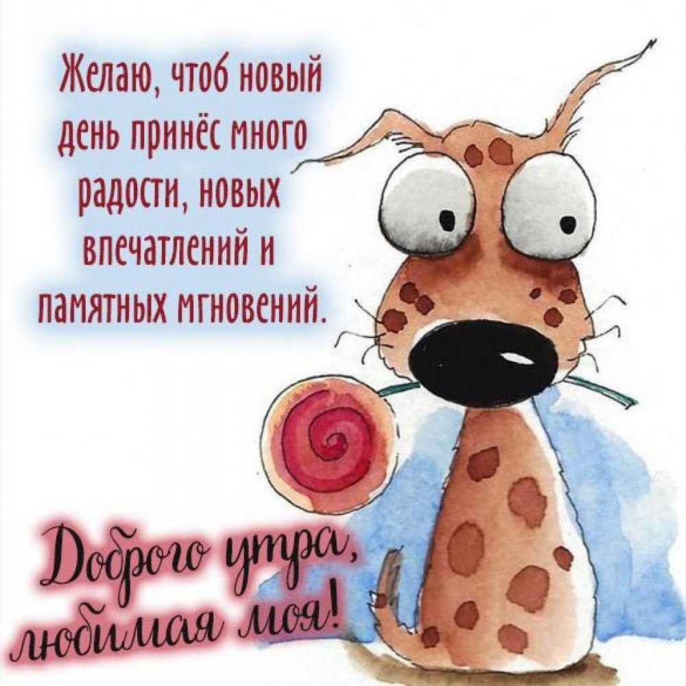 Доброе утро здоровья