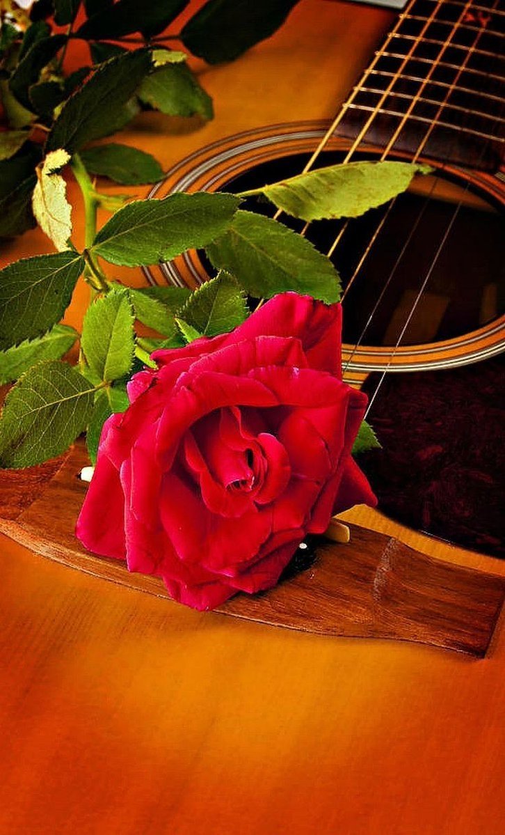 Электрогитара и цветы