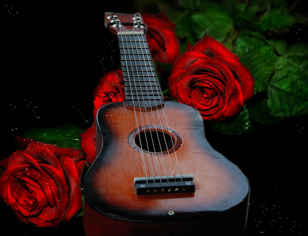 Гитара и роза