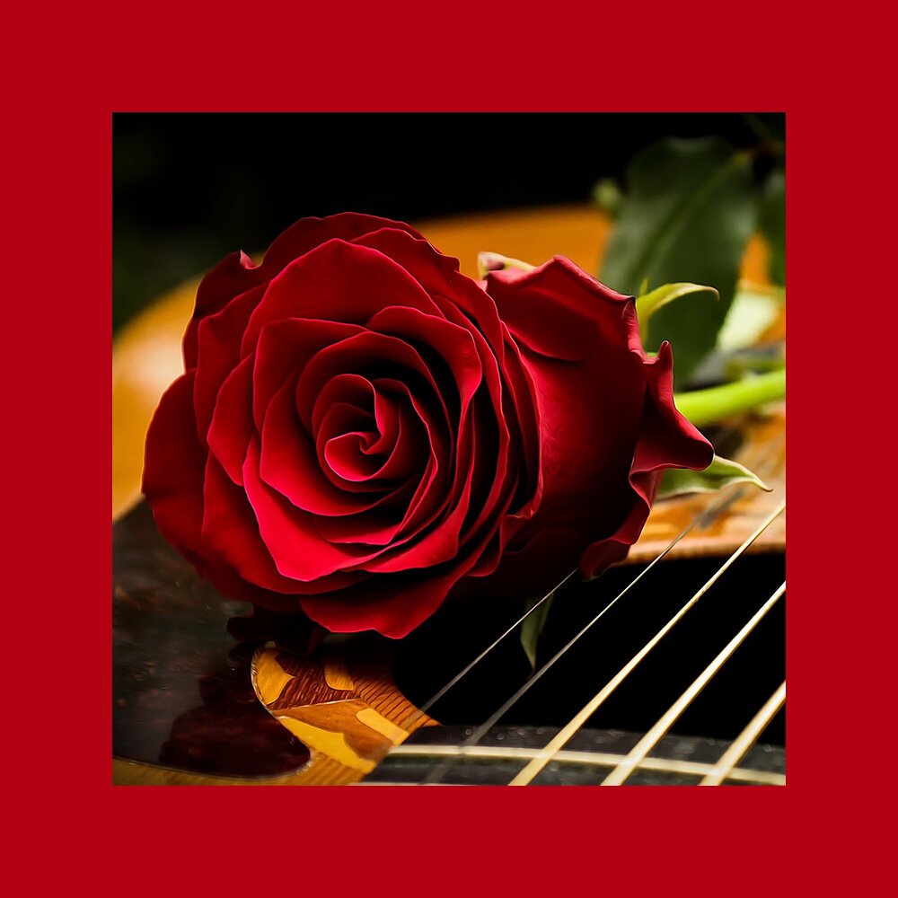 Фото абстракция гитара и цветы