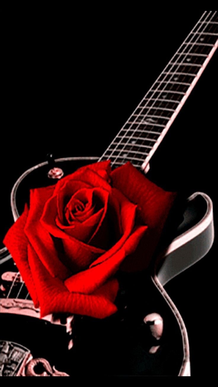 Гитара и роза