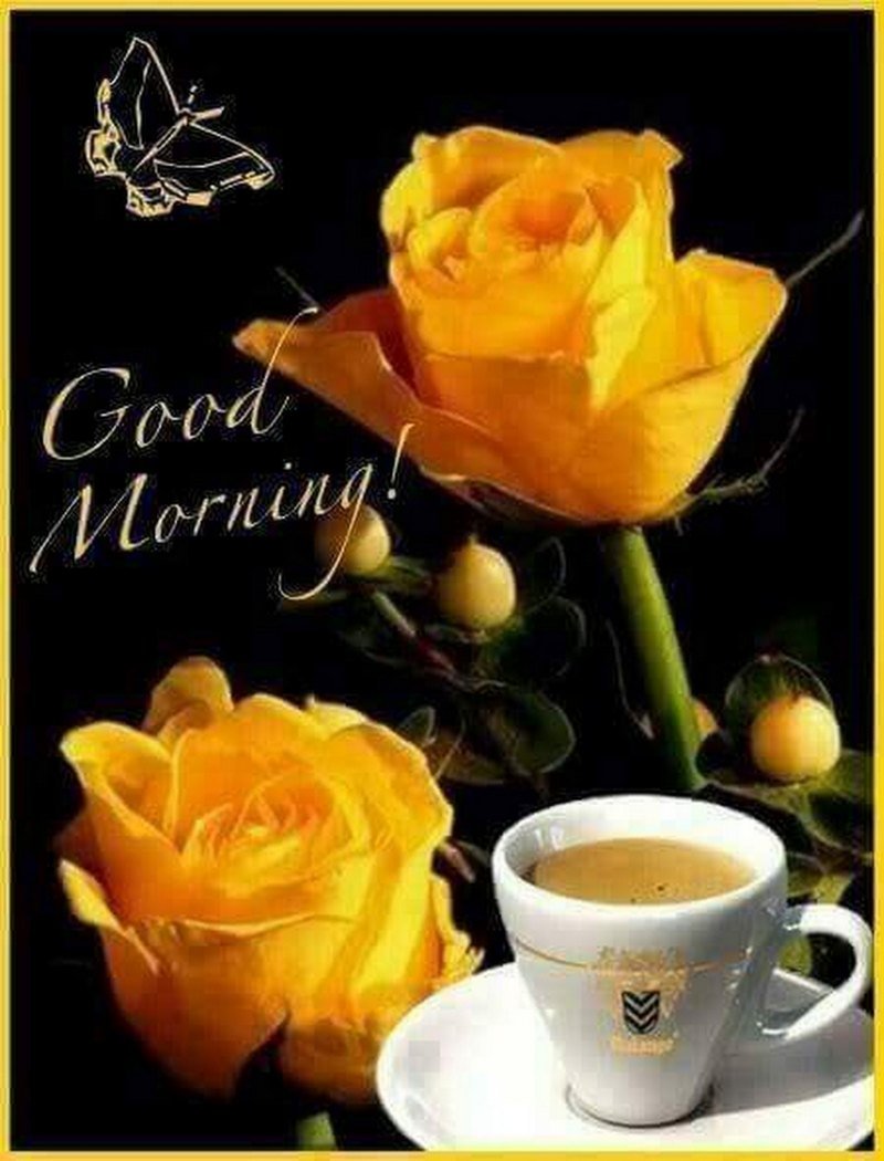 Доброе утро желтые розы