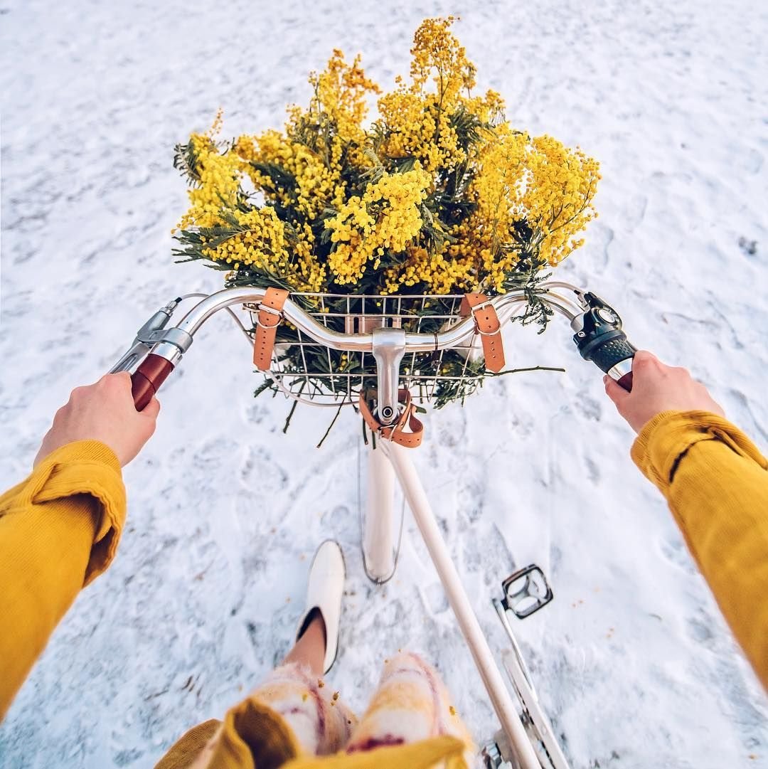 Йеллоу Эстетика