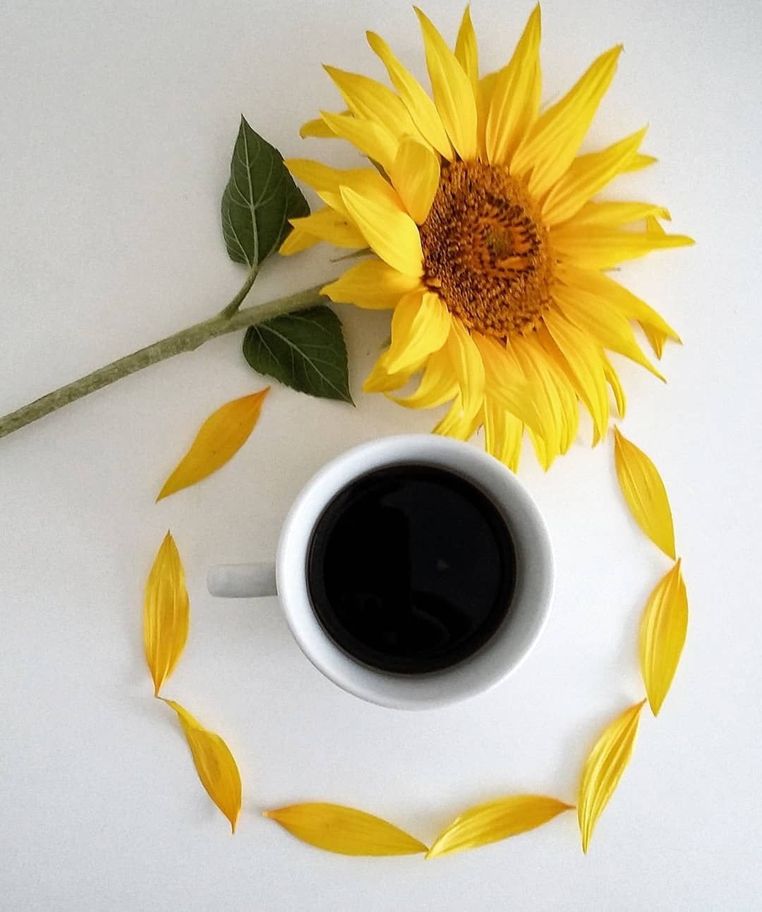 Кофе и желтые цветы