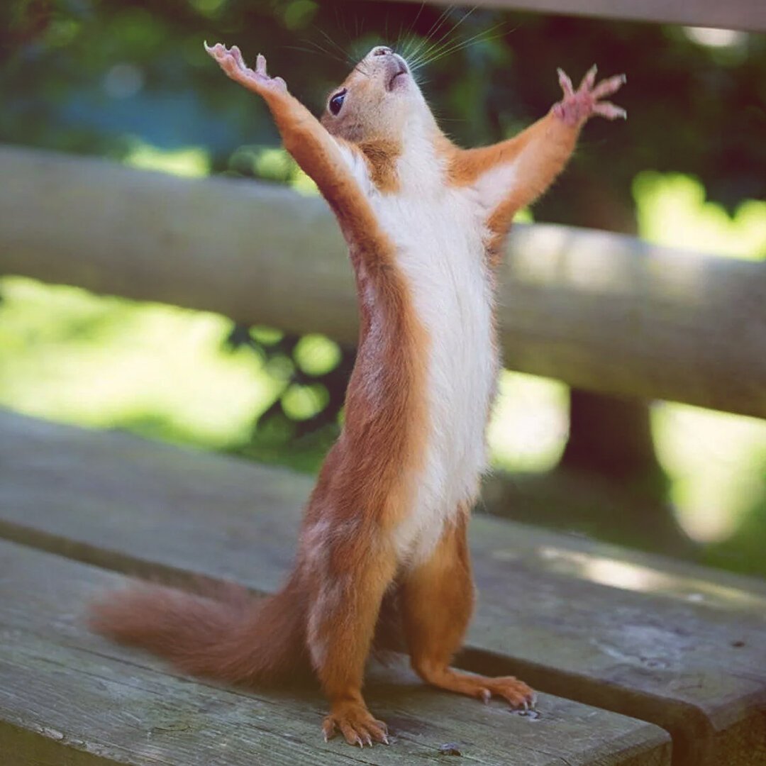 Картинки ура завтра отпуск прикольные