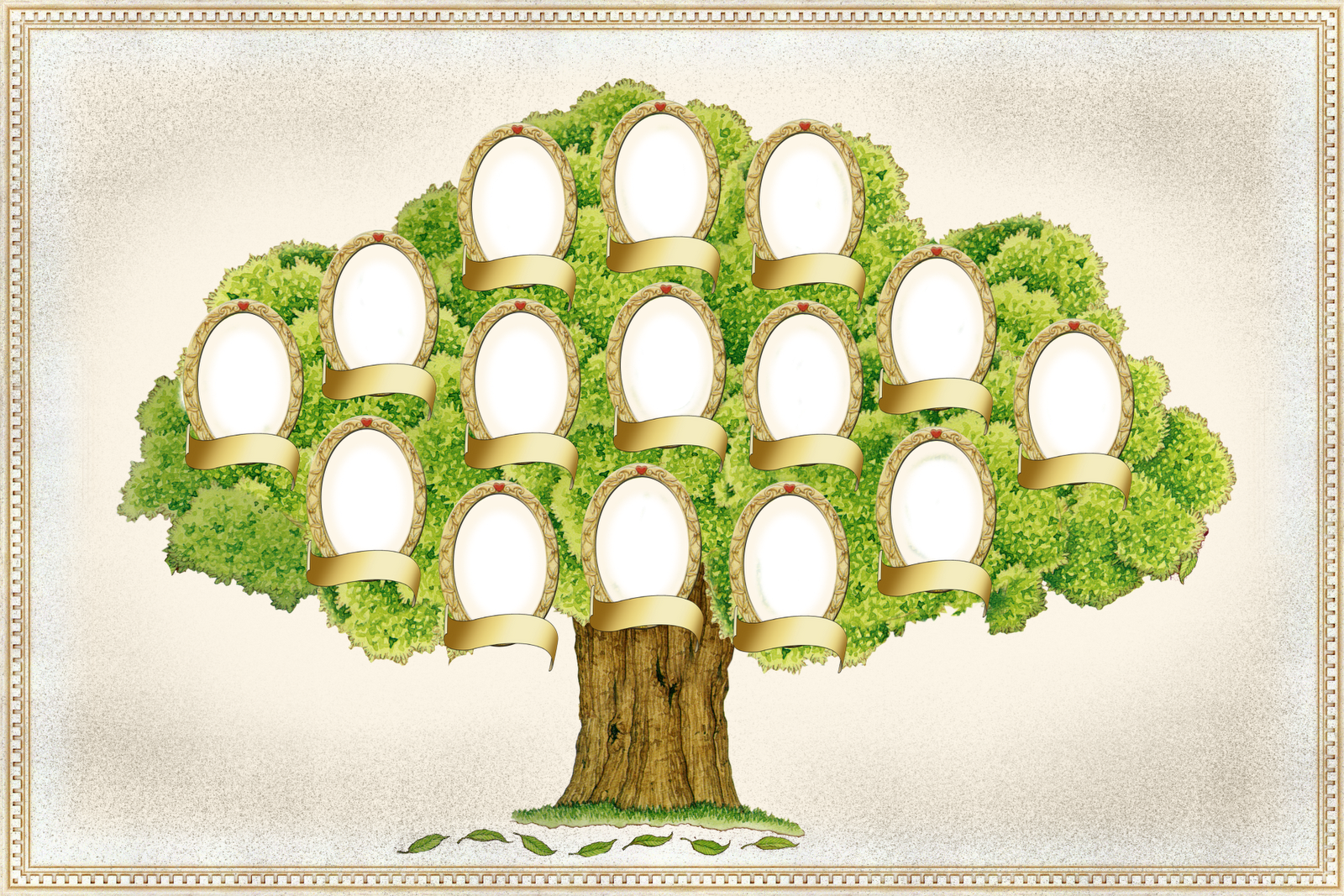 Фрагмент родословного древа семьи впр. Генеалогическое дерево. Родословная дерево. Геологическое Древо. Макет родословного дерева.
