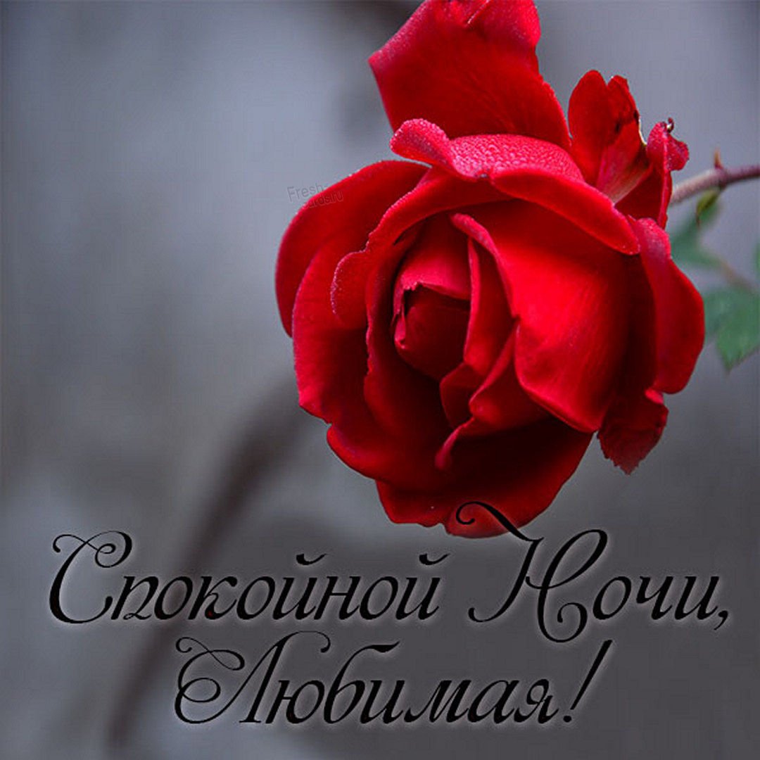 Желаю счастья доброй ночи