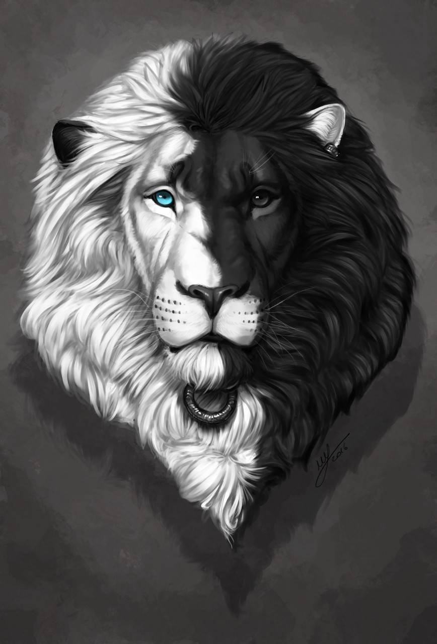 Лев на черном фоне картинки