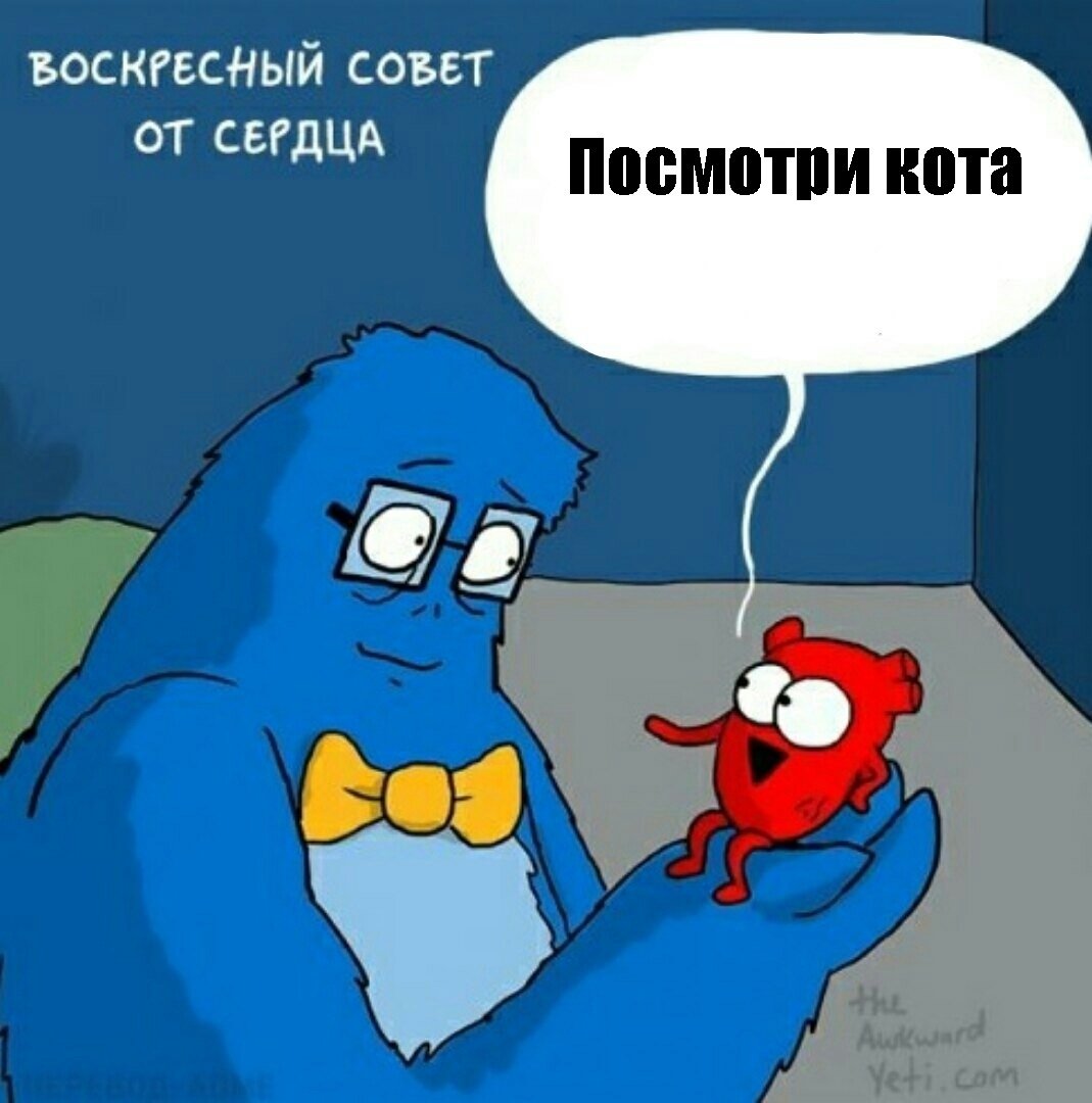 Шутки про воскресенье в картинках