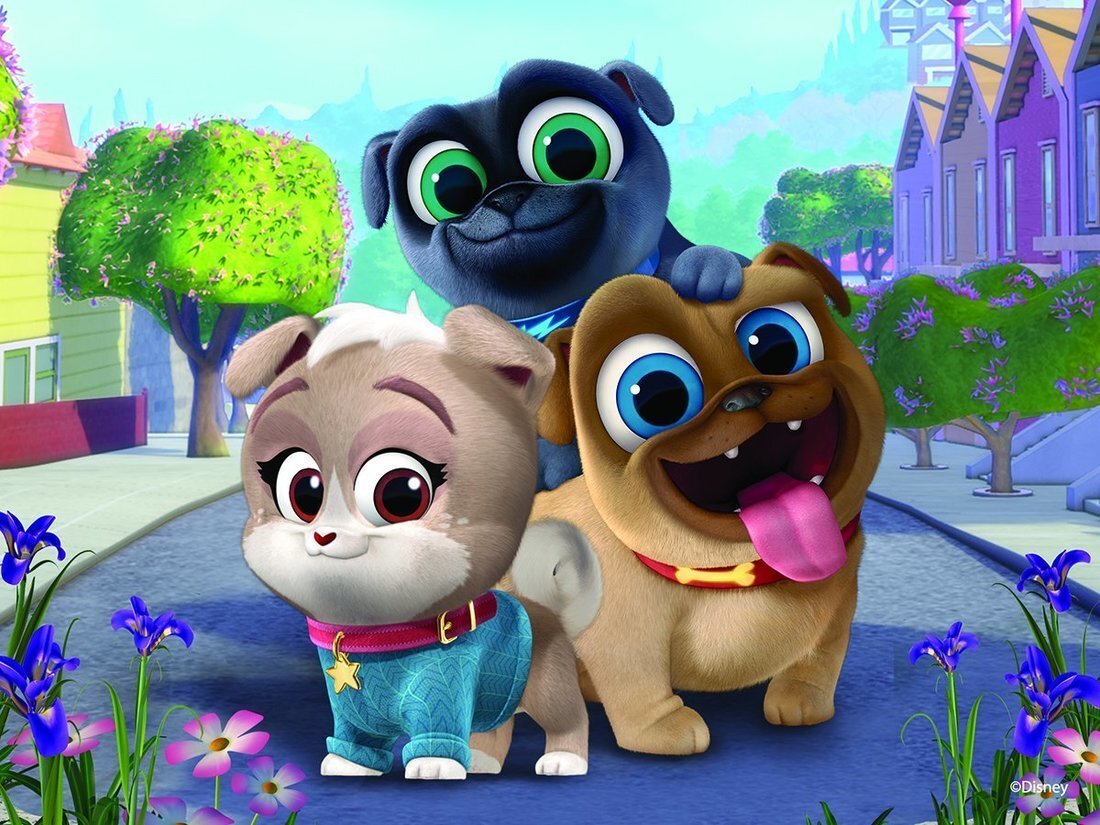 Дружные мопсы Боб