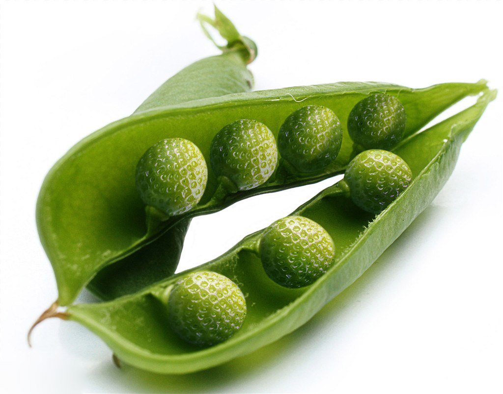 Горох в разрезе