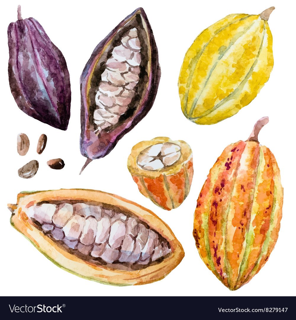 Зелёный горошек гравюра